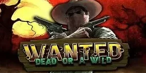 Wanted Dead or a Wild slot met western cowboy thema en duel symbolen